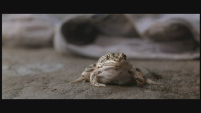 The star of the new summer event film... FROGGER.